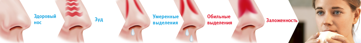 Южный и северный нос - Линия жизни